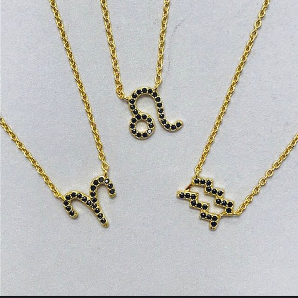 Zodiac Birthsigns w/Jet Black Crystal Necklace,NWT
